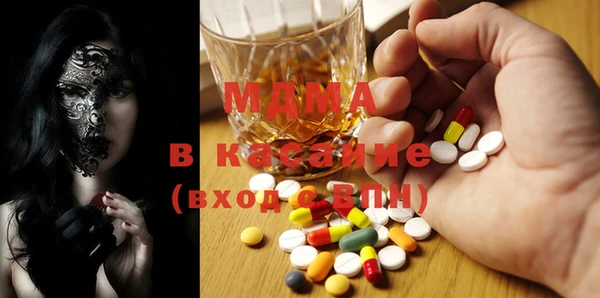 хмурый Аркадак