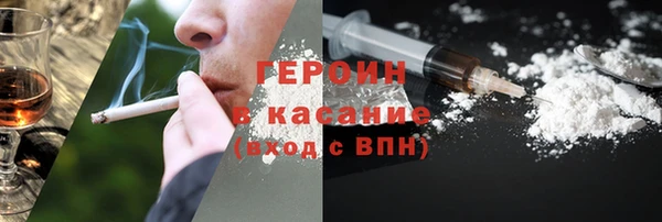 хмурый Аркадак