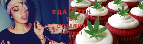 хмурый Аркадак