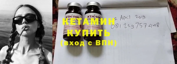 хмурый Аркадак