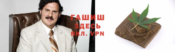 хмурый Аркадак