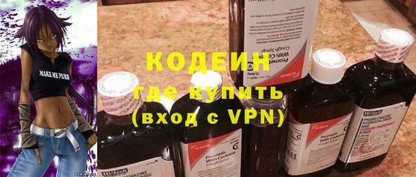 хмурый Аркадак