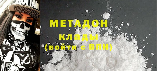 хмурый Аркадак