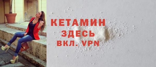 хмурый Аркадак
