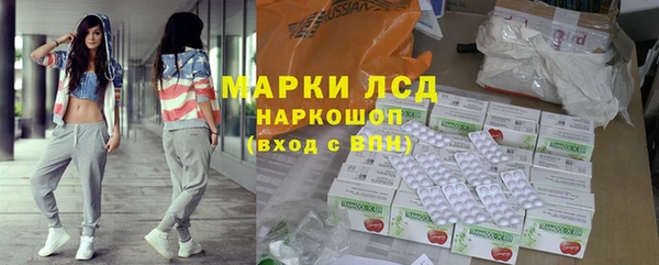 хмурый Аркадак