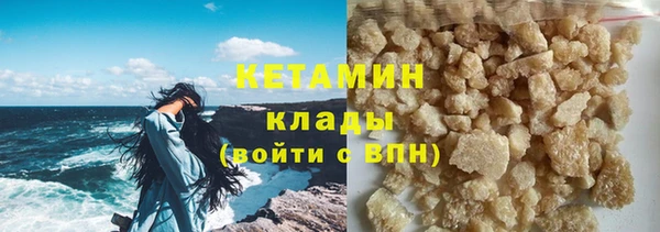 хмурый Аркадак