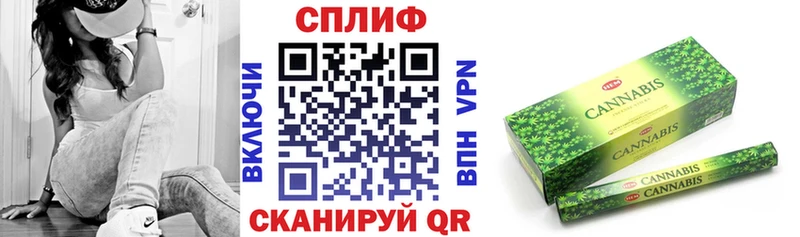 Конопля гибрид Сосенский